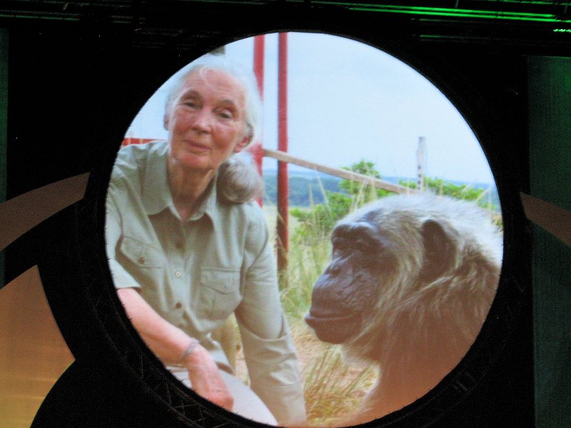 IMG_2728.jpg - The session's featured speaker was the famous British Conservationist Jane Goodall whose message was entitled 