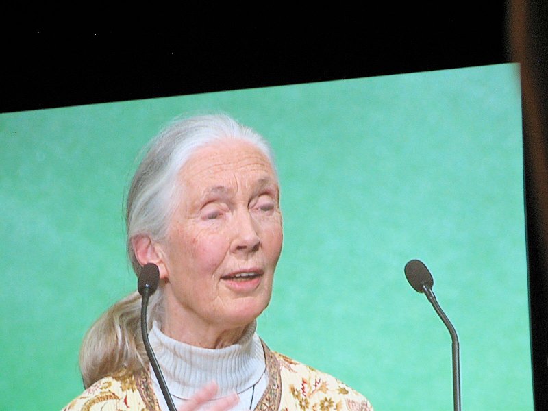 IMG_2730.jpg - She gave an impassioned plea to get involved and help protect the earth, its natural resources and habitats of chimpanzees and other endangered species.  She spoke from the heart from her decades of experiences.